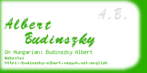 albert budinszky business card